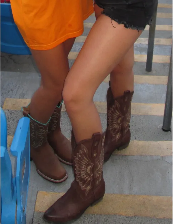 Altard State Cowboy Boots - Image 5