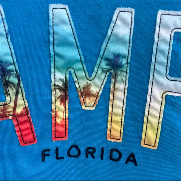 Tampa Florida Cropped Tee Blue - Image 4