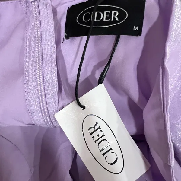 NWT CIDER Fairy Lilac Sweetheart Costume Mini Dress Sz M - Image 4