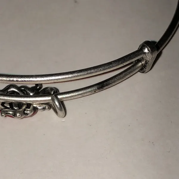 Alex and Ani Silver Tone Ladybug Charm Bracelet - Image 6