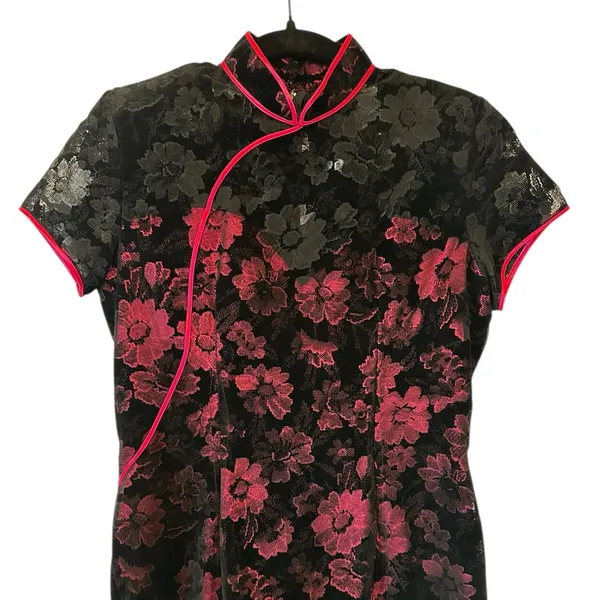 Vintage Velvet Burnout Asian Inspired Midi Dress Whimsygoth Y2K Fairy Grunge - Image 4