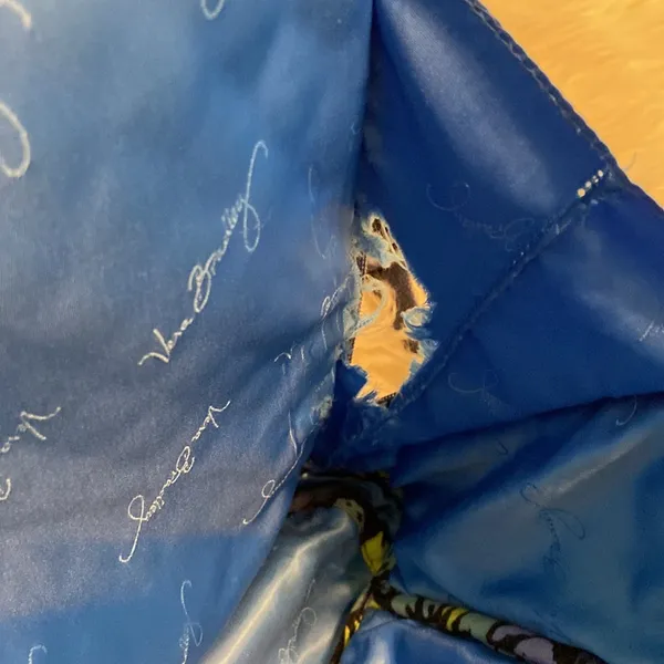 Vera Bradley Big Backpack outside condition excellent but inside have one rip - Image 8