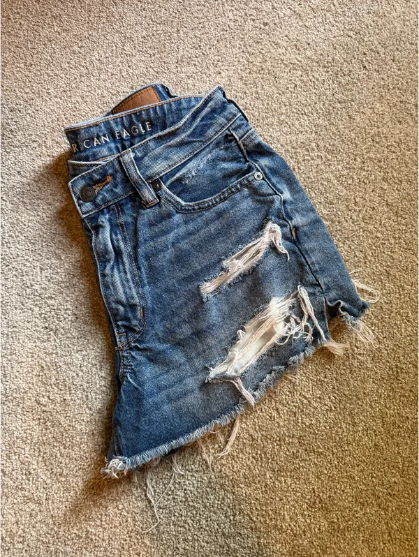American Eagle Strigid Distressed Crossover Shorts - Image 7