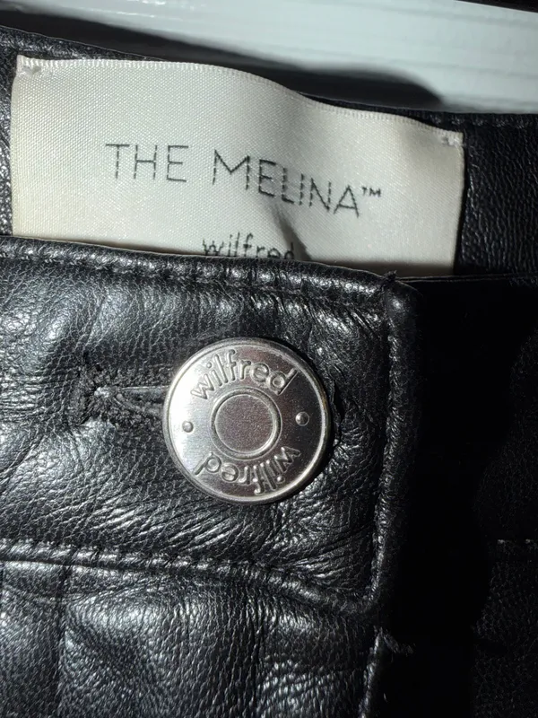 The Melina Aritzia Vegan Leather Pants - Image 3