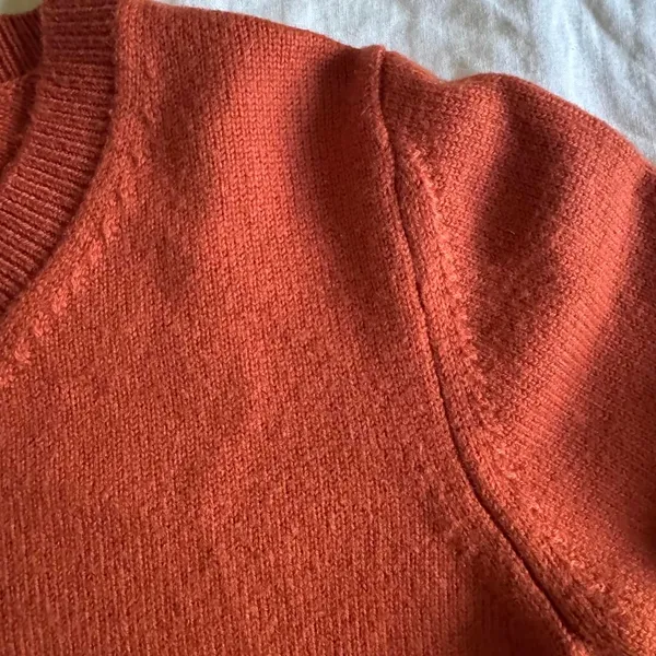 Aritzia Wilfred Free Palomino Merino Wool V Neck Sweater Orange Size Medium - Image 4