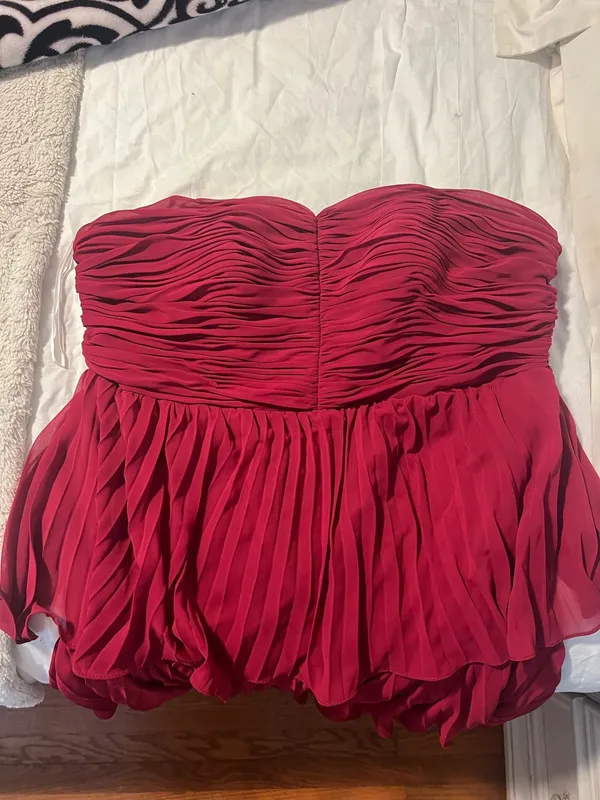 Zaptika Red pleated dress Size 22 - Image 3