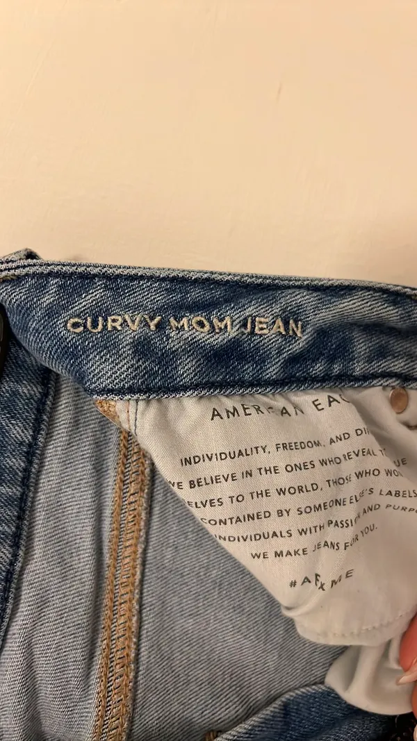 American Eagle Outfitters Curvy Mom Jeans - Image 4