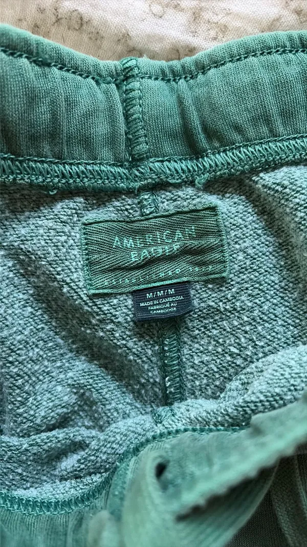 American Eagle Shorts - Image 2