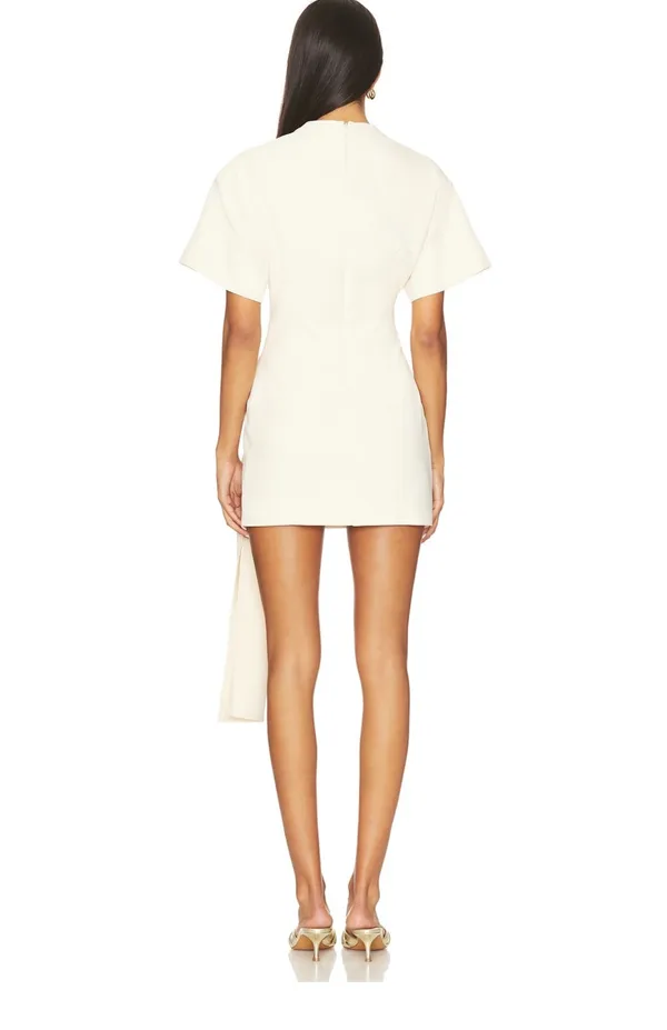 Revolve Lioness tan martini mini dress - Image 2