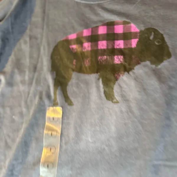 NWT The North Face T Shirt L - Image 6