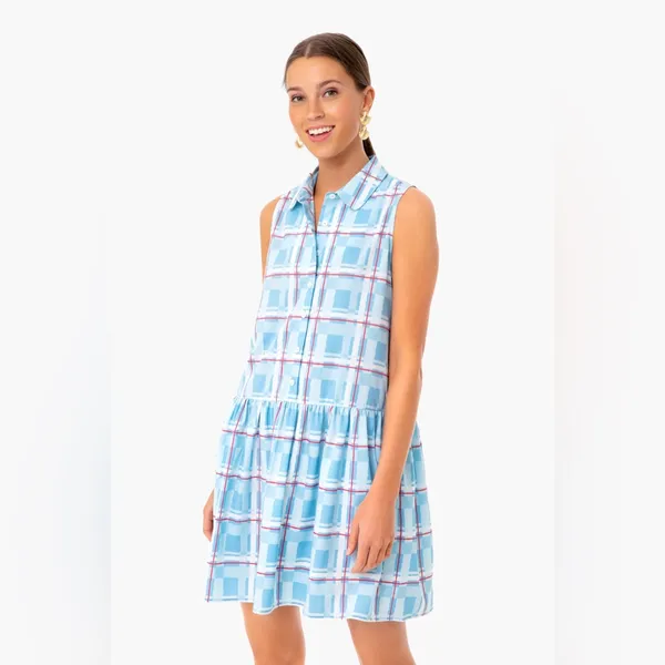 Tuckernuck Westport Trellis Sleeveless Hayes Shirt Dress Mini Blue Large L - Image 3