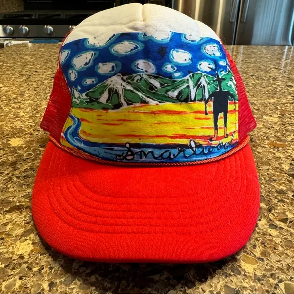 NWT: Smartwool RT Scene Trucker Hat - Image 9