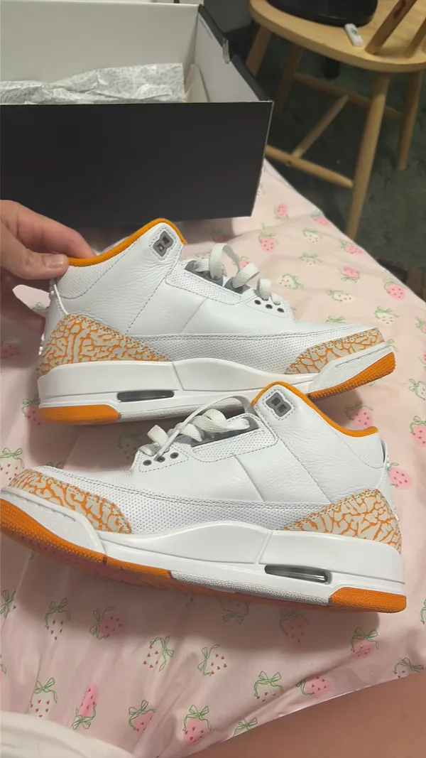 Air Jordan Retro 3 - Image 8