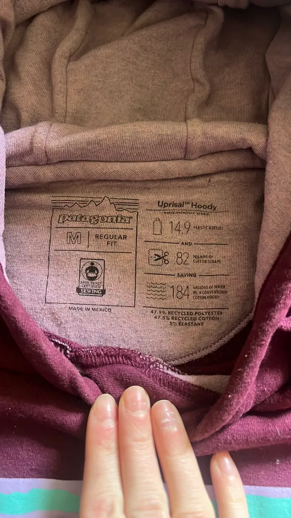 Uprisal Patagonia Hoodie - Image 5