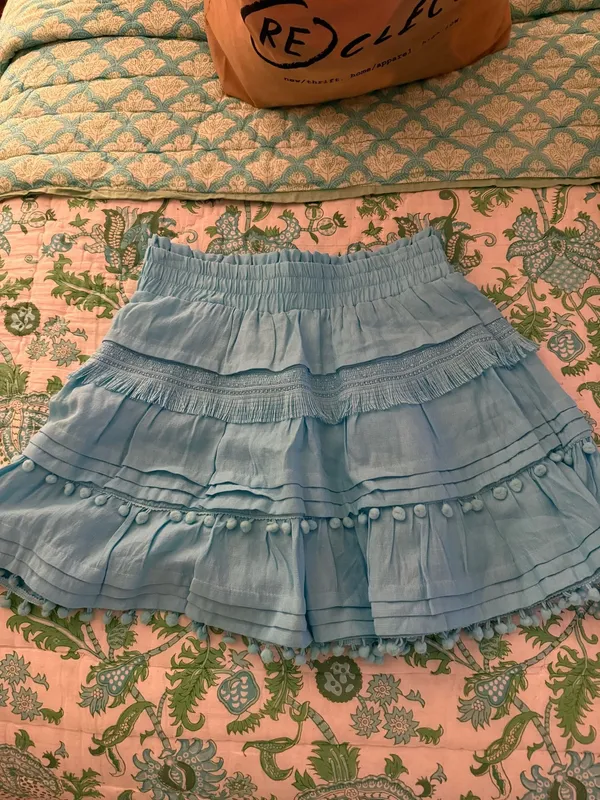 Impeccable Pig Skirt - Image 3
