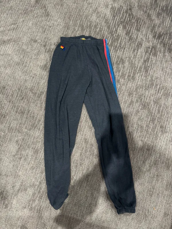 Aviator Nation Sweatpants - Image 3