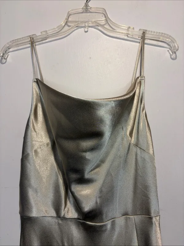 Birdy Grey NWT Lisa Long Shiny Satin Dress Neutral Champagne Size M - Image 8