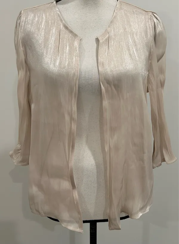 Dazy Sheer Metallic Cover Shirt - Image 2