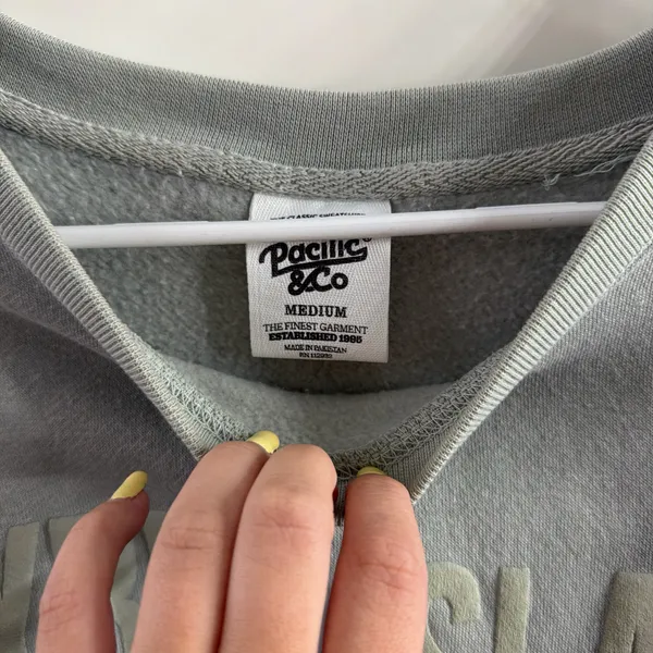 Pacific&Co Tybee island soft sage green crewneck - Image 2