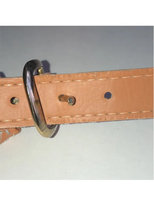 Canvas Stripe Belt with Tan Leather Accents - Image 5