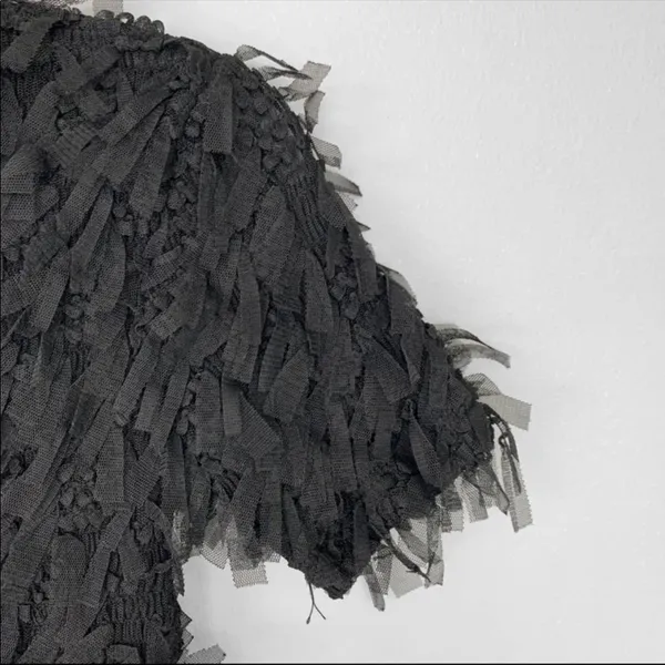 Zara chiffon crop top - Image 2