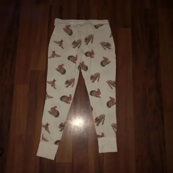 ✨ American Eagle Bunny Jogger PJ✨ - Image 3
