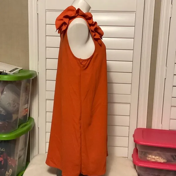 Entro Vibrant Orange Mini Dress with Ruffle Sleeves - Image 3