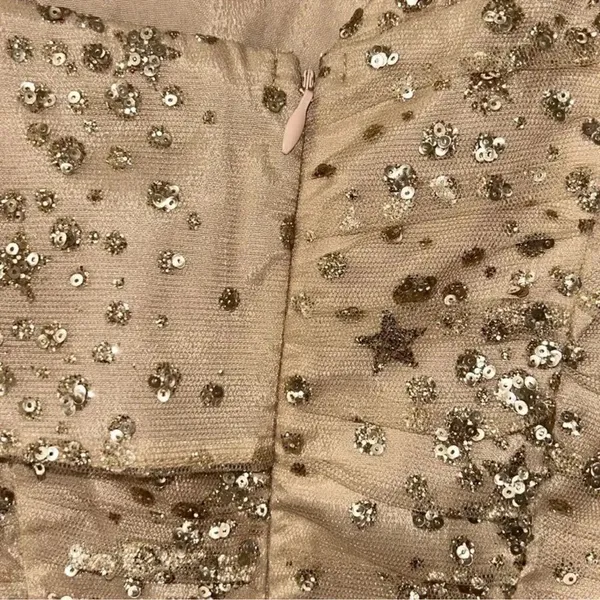 Endless Rose Sequins Mini Gold Nude Mini Dress(Size XS) - Image 9