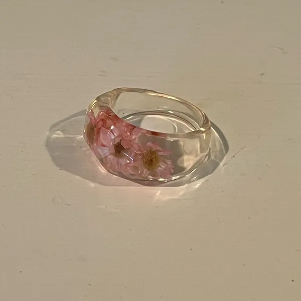 4 Resin Dings of Lemons, Watermelons and Dried Flowers - Image 6
