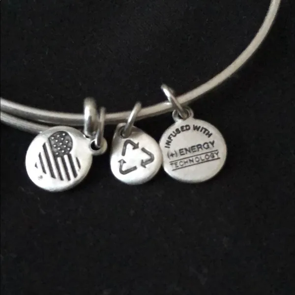 Pre-owned Alex and Ani Path of Life Charm Bracelet - Image 3