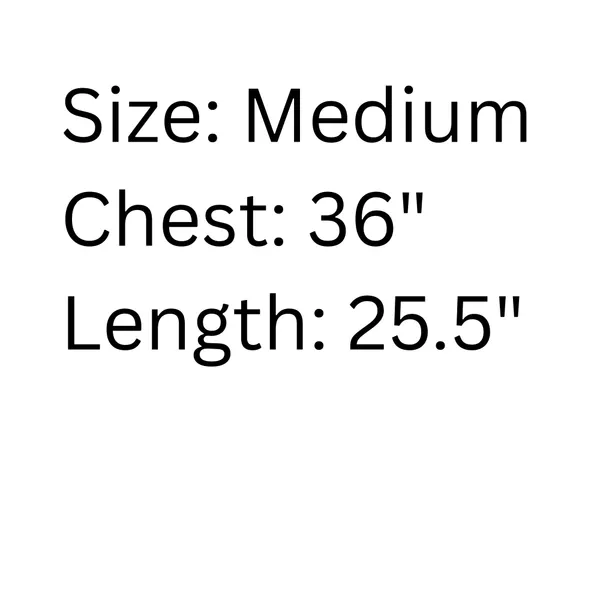 The North Face Jacket Women’s M Harbor Blue Apex Byder Softshell Windwall - Image 4