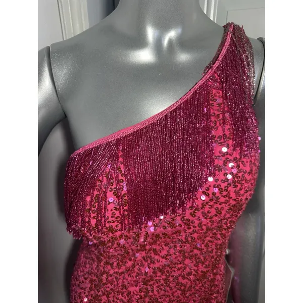 Rachel ALLAN 40150 Hot Pink Sequin One Shoulder Fringe Dress Size 12 NWT - Image 9