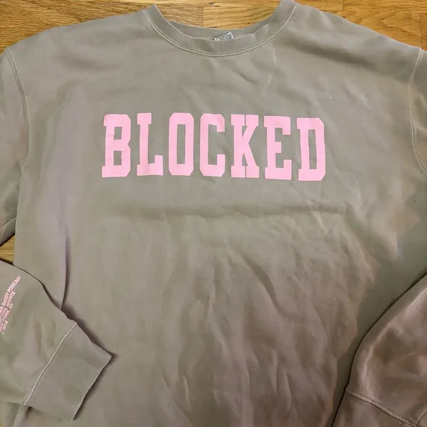 Barstool Sport Call Her Daddy Retired Blocked Preppy Outdoor Gorpcore Crewneck L - Image 2