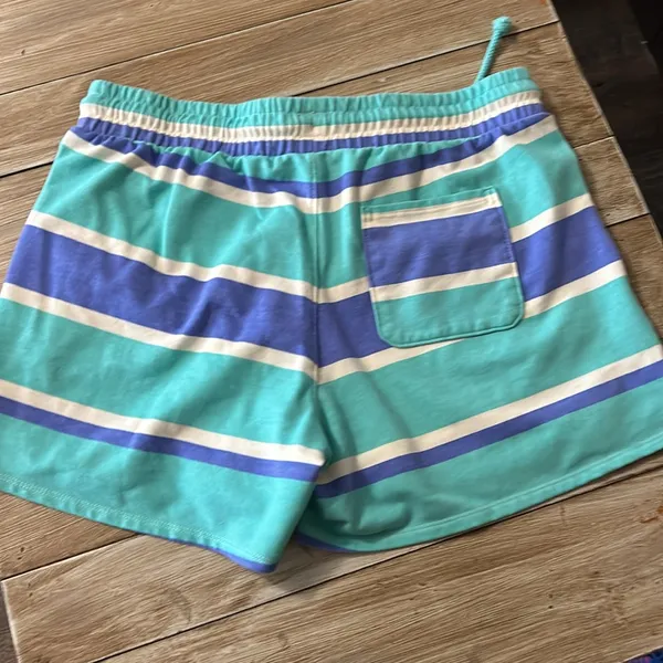 Wildfox‎ Size S Blue Striped Pull-On Sweat Lounge Shorts Women's - Image 2