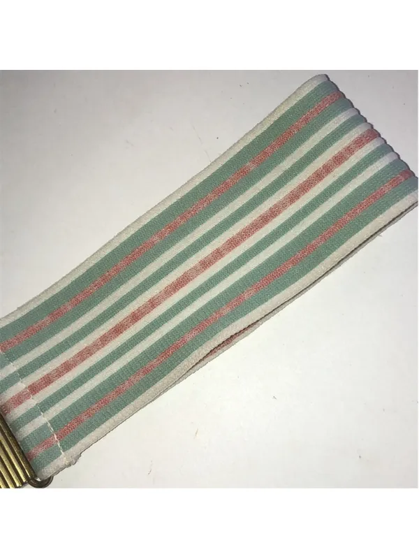 Vintage Striped Pastel Elastic Waist Belt with Gold-Tone Clasp - Image 3