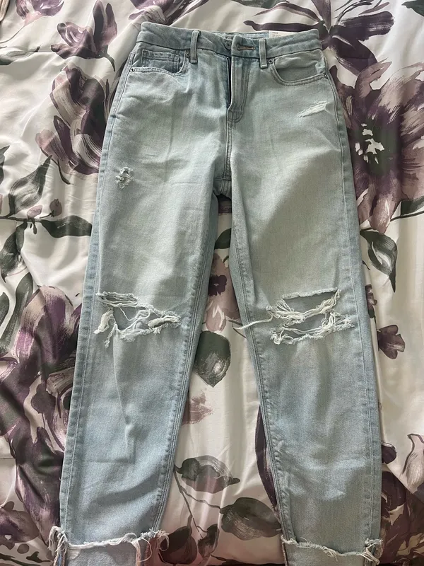 American Eagle Strigid Curvy Mom Jeans - Image 6