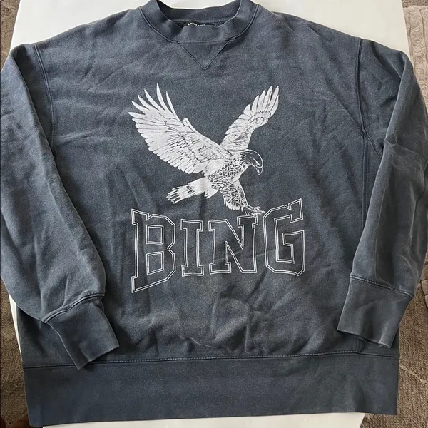 Anine Bing Retro Alto Eagle Graphic Organic Cotton Sweatshirt Washed Gray Black - Image 4