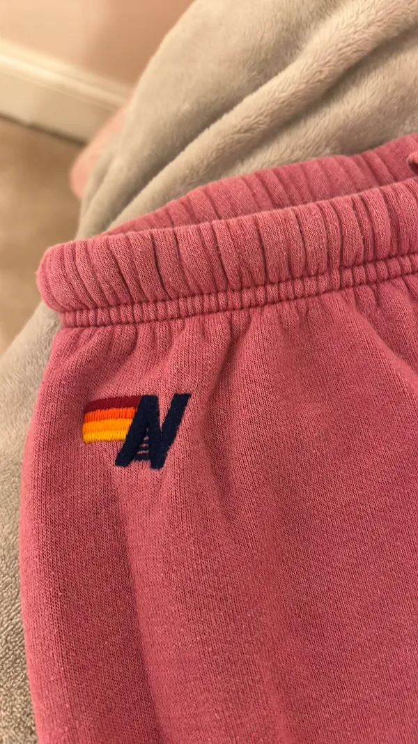 Aviator Nation Sweatpants - Image 2