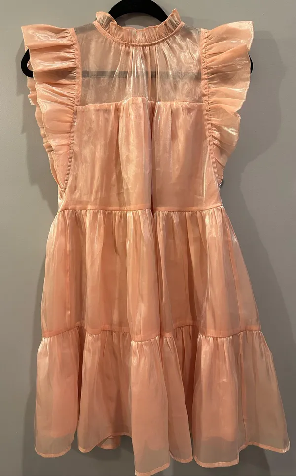Entro Shimmery High Neck Ruffle Sleeve Dress - Image 4
