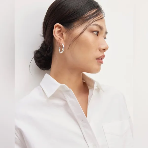 NWT Everlane The Relaxed Oxford Shirt - Image 3