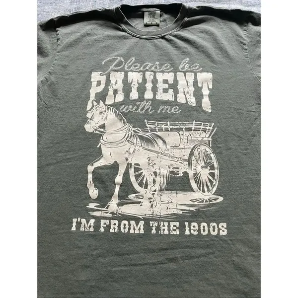 Comfort Colors Faded Green From The 1900s Novelty Tee Large - Image 3