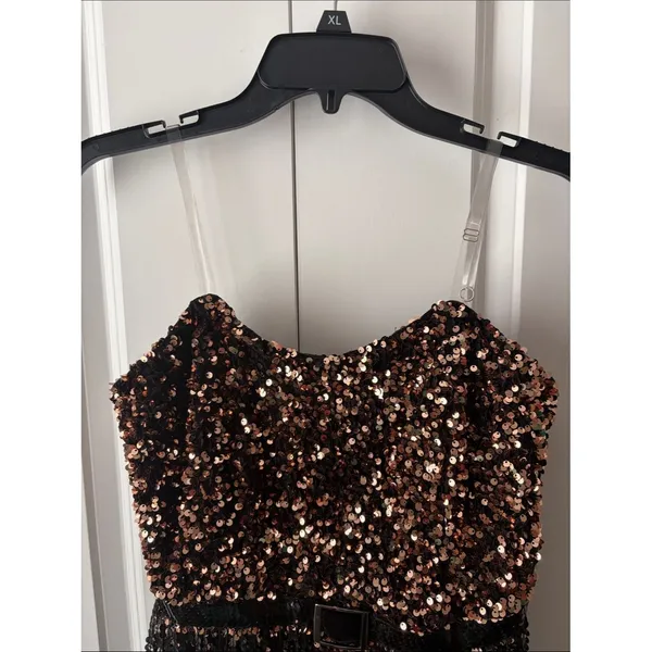 Blue B Sequin Fringe Party Dress Bronze & Black Flapper Party Costume Retro - Image 4