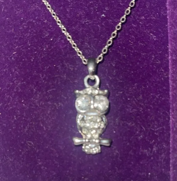 New Super Cute Small Shiny Sparkly Silver Jeweled Owl Chain Necklace W/ Velvet - Image 2