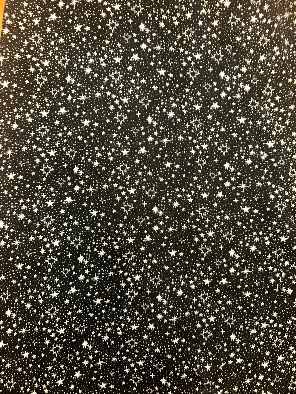 Le lis Star Skirt - Image 2