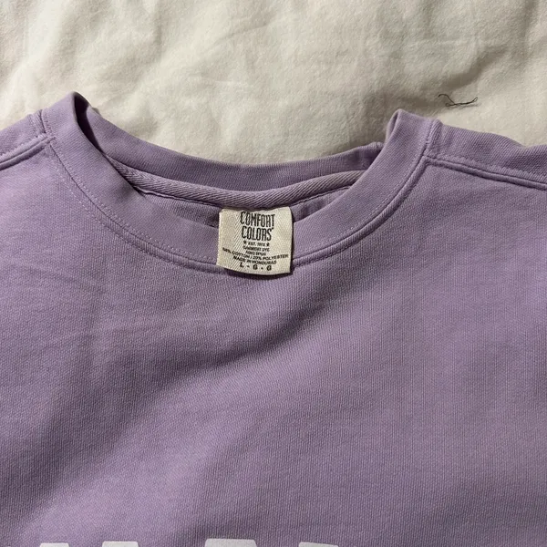 Comfort Colors Graphic Hoodie Lavender - Image 2
