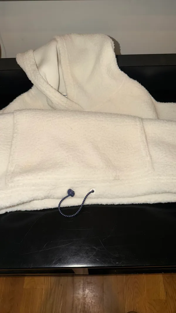 Champion Hoodie - Image 2