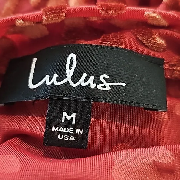 Lulu's -1722 Born To Be Wild Rust Red Leopard Print Velvet‎ Mesh Bodysuit Medium - Image 4
