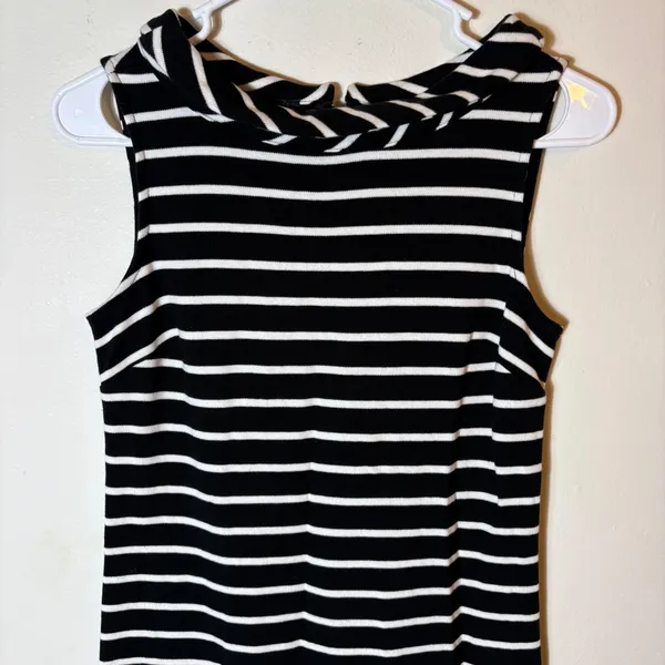 Talbots Petite Black and White Striped‎ Sleeveless Sheath Dress Career Size P - Image 2