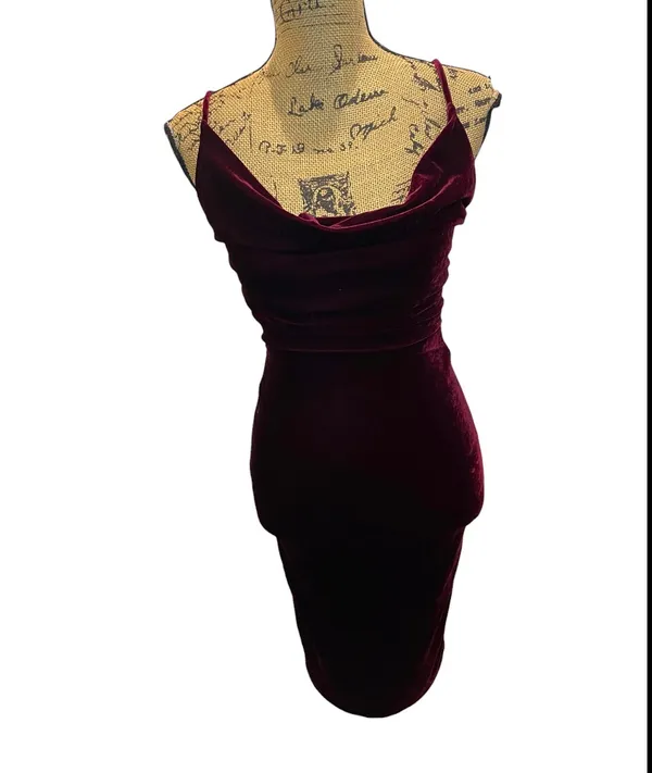 Windsor Glowing Glam Sleeveless Velvet Mini Dress - Image 2