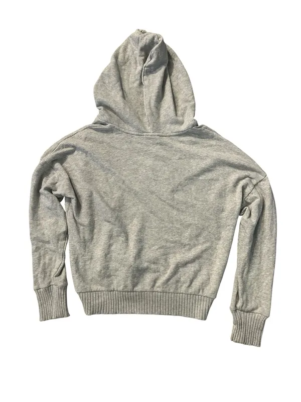 OFFLINE by Aerie American Eagle Light Gray V-Neck Hooded Pullover Ribbed trim - Image 3